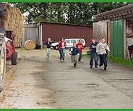 Ferienhof Bruns Bild 6
