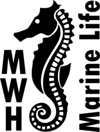 Meerwasserhof Magdeburg GbR