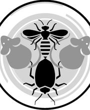 Schädlingsbekämpfung Schätzlein Bild 3