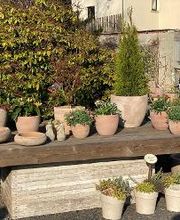 Gärtnerei Schöbel Bild 20