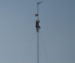 17333766-1-1Aaf2WeZ6V1685444143398.jpeg