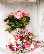 schöner schenken GmbH Bild 6