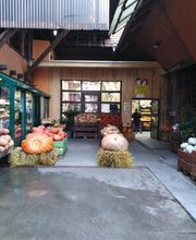 Ferme Riedinger EARL image 2