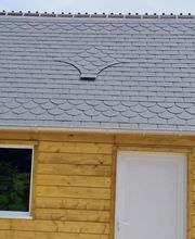 Beaumont Daniel image 4