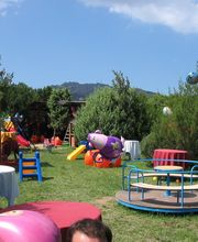 Gallery Cliente