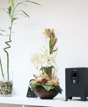 Masajista Bilbao imagen 7