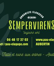 Sempervirens image 1