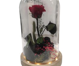Las Flores de Carlos imagen 7