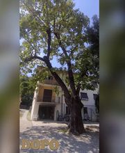 IdealFlora di Davide Gagliardini Bild 8