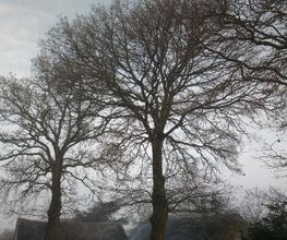 Arbor Vert Paysage image 3
