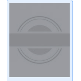 Professionisti Associati Srl logo