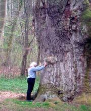 Les Cinq Sens image 1