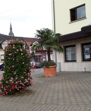 Volksbank Kurpfalz eG - Filiale Handschuhsheim Bild 3