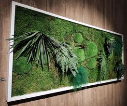 Franzen Moos Wanddesign Bild 5