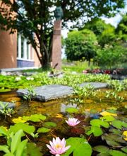 SHI Haus der Homöopathie Bild 3