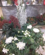 Fleurs Village image 20