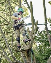 Allais et Fils image 14