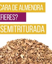 6-ALMENDRA-1024x362-1024x362.png