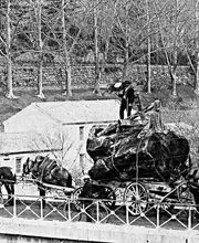 Déménagements Chastel image 1