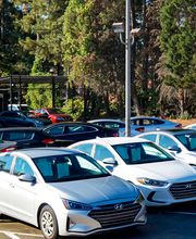 Wide Shot of Car Lot