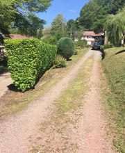 Entretien paysager image 4