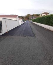 Basset Jean-Pierre image 4