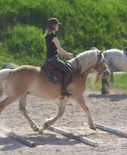 Centre Hippique la Jumenterie image 7