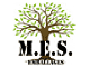 E - S - Multi Emballages Services