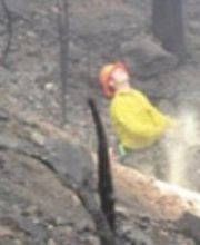 North Zone Fallers image 5