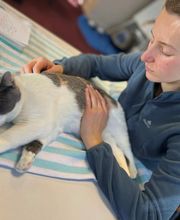 Luana EMINIC HUGO - L'ostéo animaux Bild 2