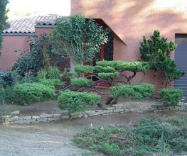 Arbroservice image 13