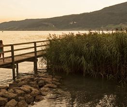 Hotel Camping-Sutz am Bielersee Bild 5