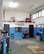Gallery Cliente