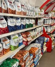 Qua la Zampa di Alessia Milani Termini Bild 8