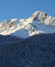 Hôtel Le Chamois image 17