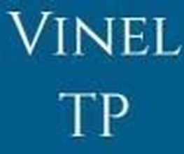 Vinel Guy image 3