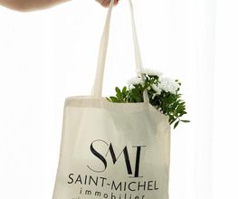Saint Michel Immobilier image 1
