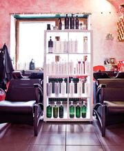 SECTIO NOSTRA Bild 1