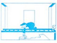 Entreprise De Peinture Adam