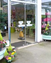 Central fleurs image 3