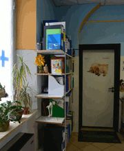 Gallery Cliente