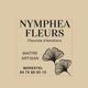 Nymphea Fleurs