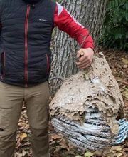 ADC Hyménoptère et Nuisible image 1