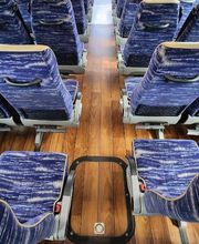 C&T Excursions image 4