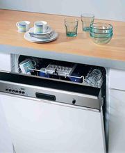 Neeracher Paul Bild 5