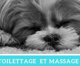 Au Bain Canin image 2