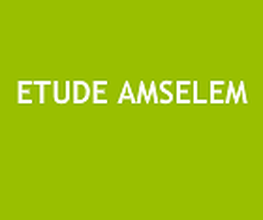 Etude AMSELEM image 1