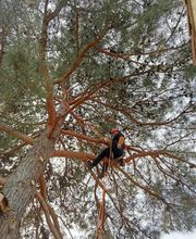 THILL SEBASTIEN image 6