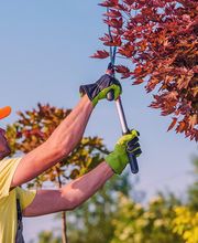 Ceytaire Emmanuel image 4