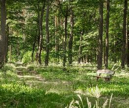 FriedWald Fürstenwalde Bild 11